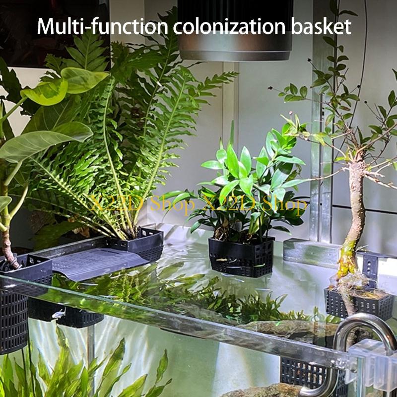Aquarium Plant Holder - X22D モダン古代スタイル垂直植物ホルダープラスチック壁取り付けコンテナ