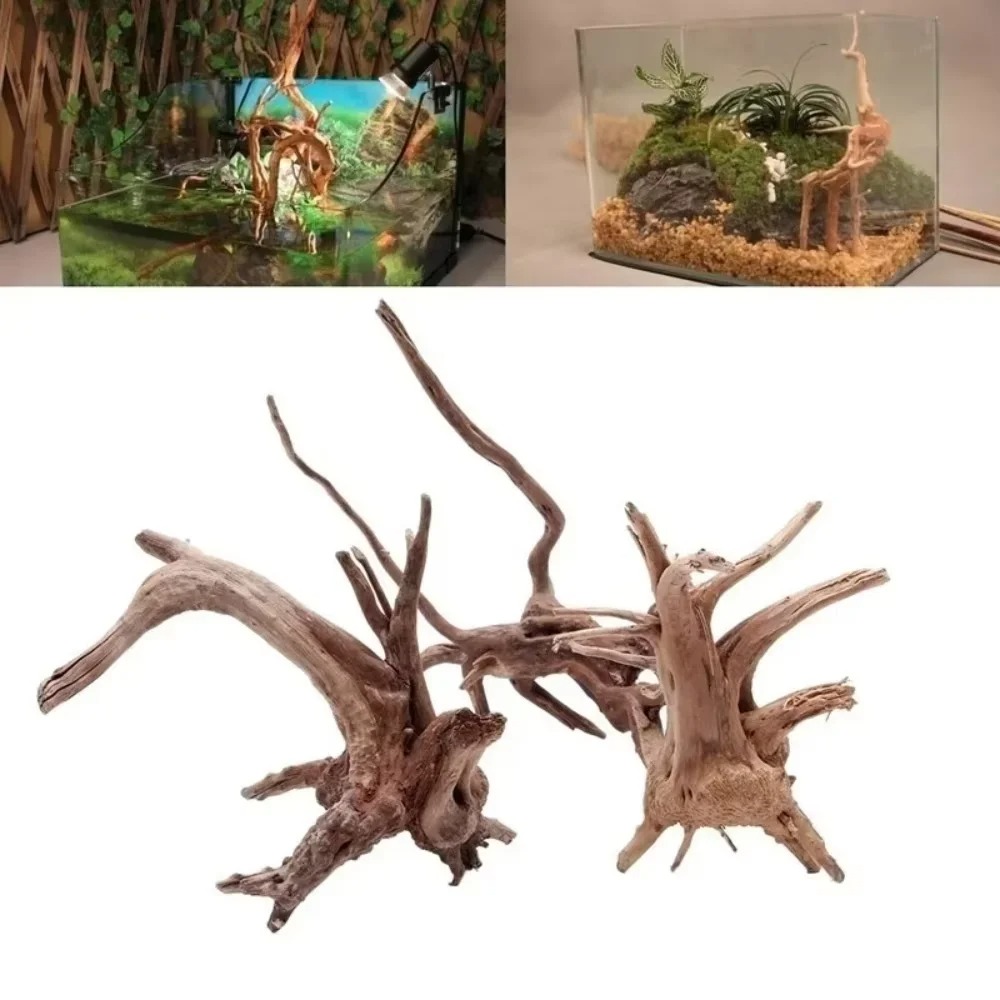 Aquarium Driftwood - 15～20cm天然流木水槽飾り - プレミアム木製水槽オーナメント、本物の木製造園で水生環境を演出