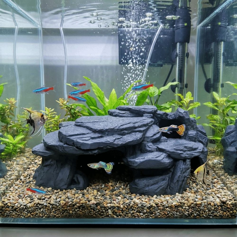 3Dプリント製水槽用岩飾り、リアルな質感の模擬岩、水槽用魚の - Aquarium Driftwood のレビューと価格