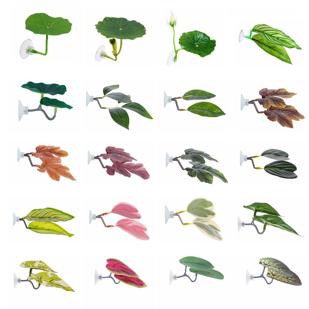 プラスチック製のベタ用休憩葉、模造蓮の葉/人工葉の休憩場/隠 - Aquarium Plants Live のレビューと価格