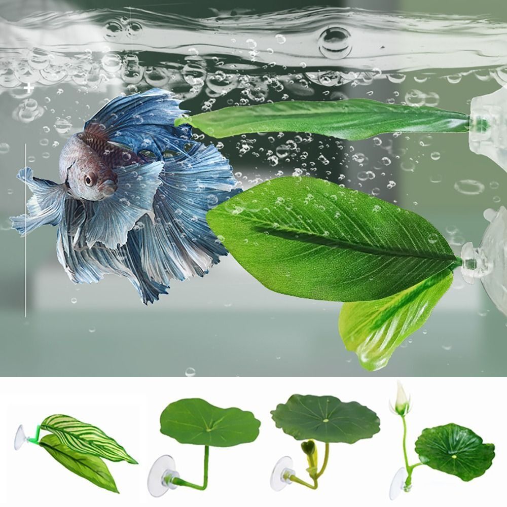 プラスチック製のベタ用休憩葉、模造蓮の葉/人工葉の休憩場/隠 - Aquarium Plants Live のレビューと価格