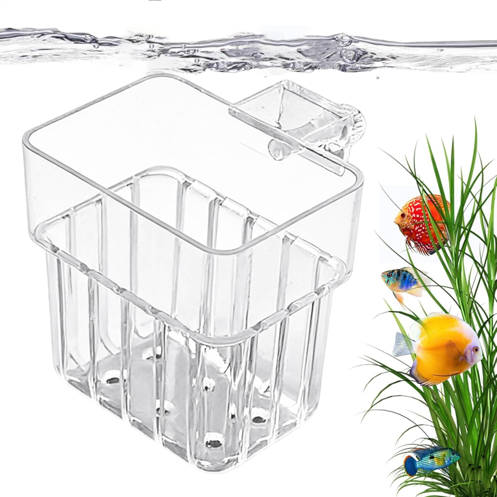 透明な吊り下げ式水槽用植物ホルダーポット、水槽水耕栽培システ - Aquarium Plants Live のレビューと価格