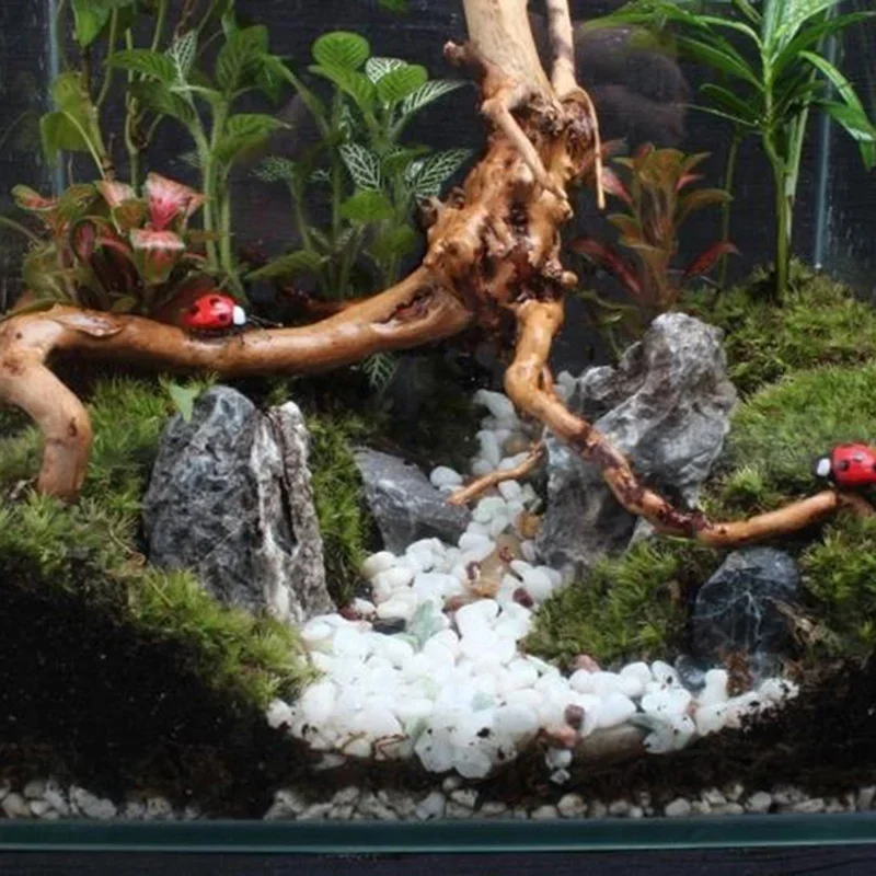 水族館、魚のタンク、爬虫類の根の植物、木の装飾、装飾アクセサ - Aquarium Driftwood のレビューと価格