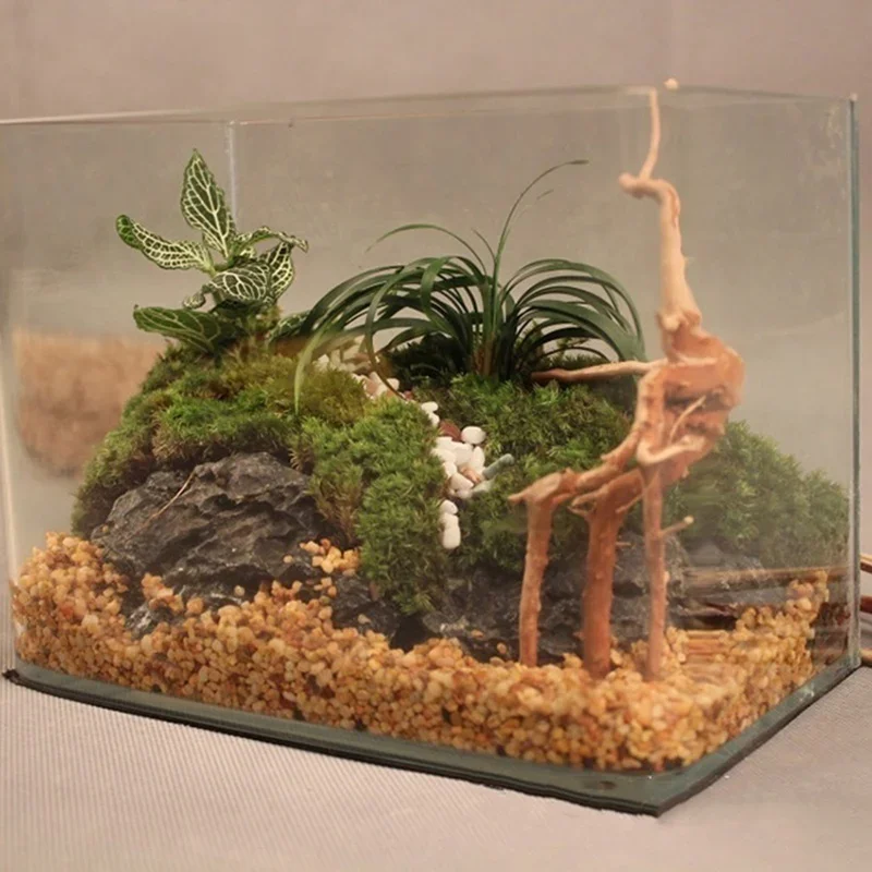 水族館、魚のタンク、爬虫類の根の植物、木の装飾、装飾アクセサ - Aquarium Driftwood のレビューと価格