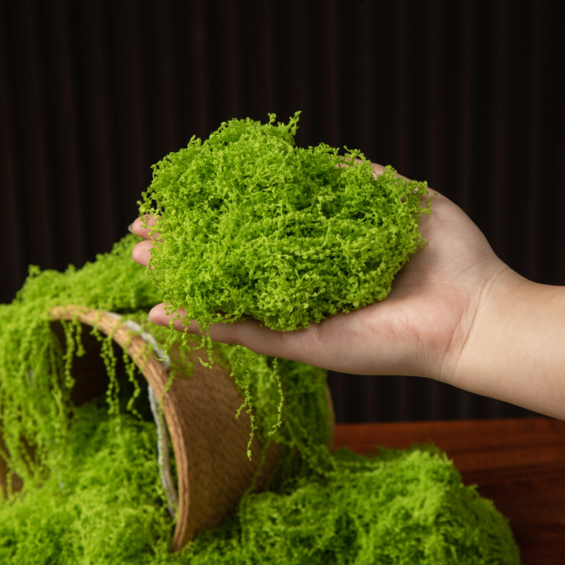 200 グラム永遠の命苔 DIY 工芸品草人工緑植物ホームル - Aquarium Moss のレビューと価格