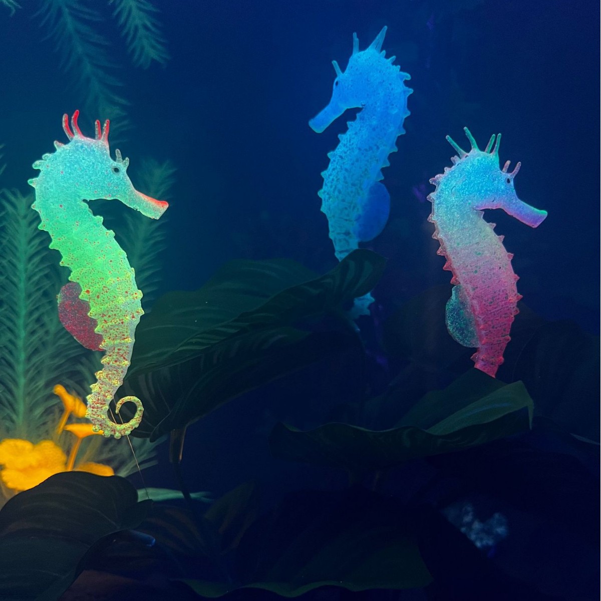 発光シミュレーションタツノオトシギ水槽装飾、人工魚オーナメン - Aquarium Plant Substrate のレビューと価格