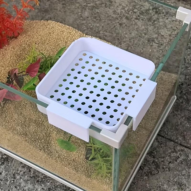 新しい水槽用換水フローディフューザー、逆流防止砂、水質軟化水 - Aquarium Plant Holder のレビューと価格