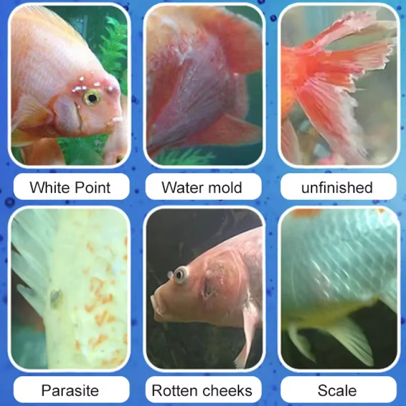 シケザン 魚病治療＆硝化細菌 |   淡水/海水用の抗炎症水 - Aquarium Fertilizer のレビューと価格
