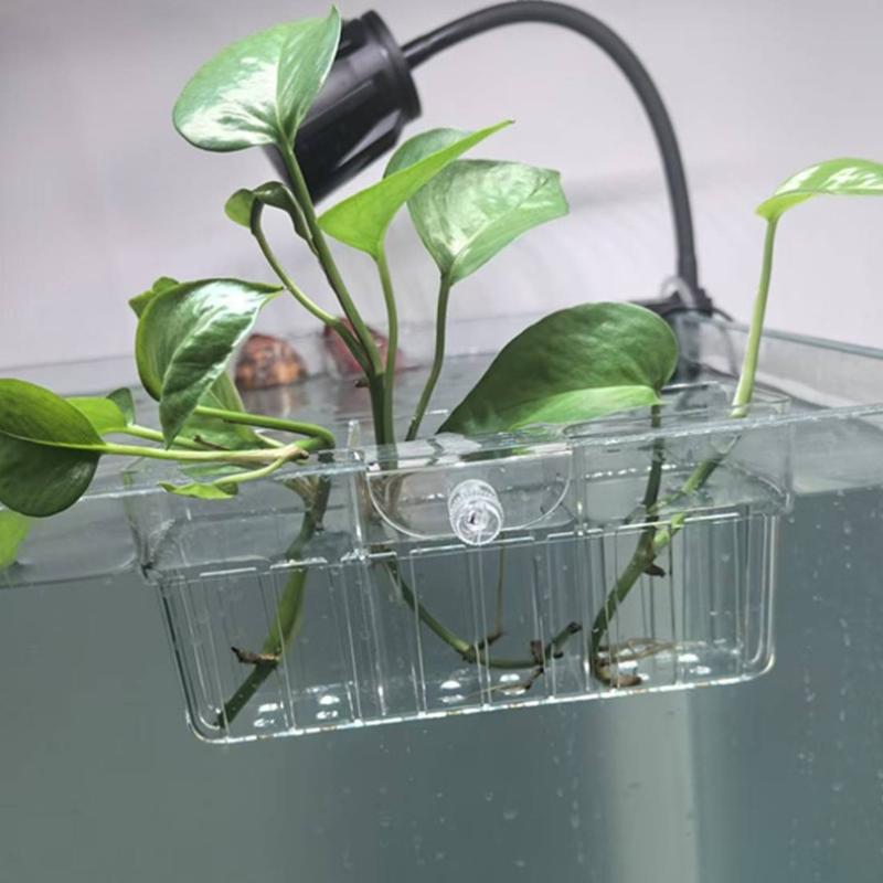 水耕栽培用植物バスケット 食品グレード 水生植物ホルダー 1 - Planted Tank のレビューと価格