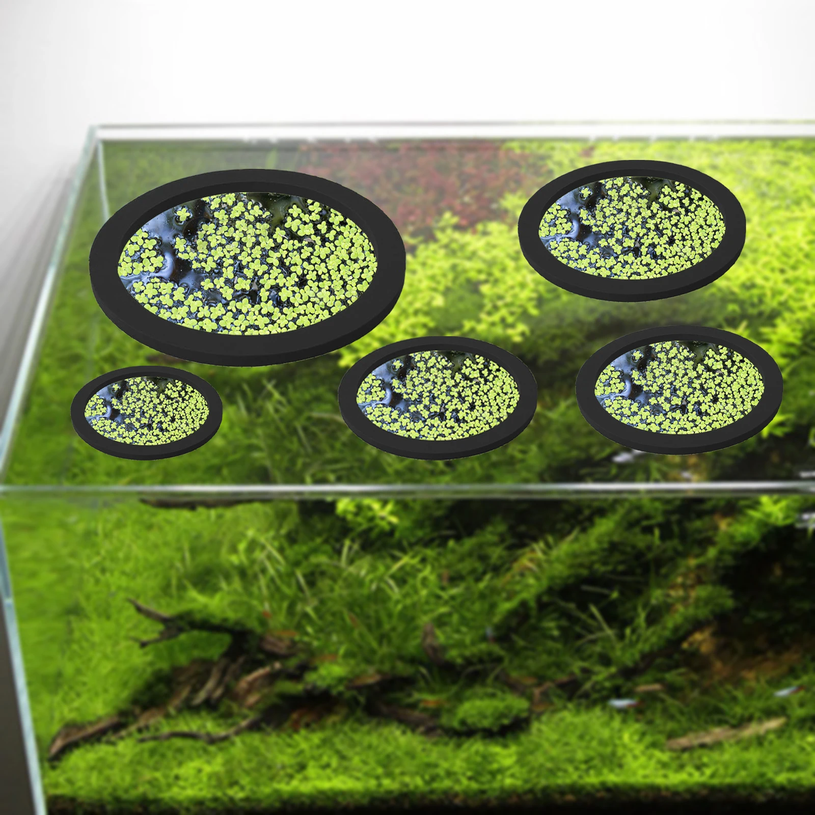 5 個 EVA 魚給餌リング水族館浮遊植物囲い水槽フロート植 - Planted Tank のレビューと価格