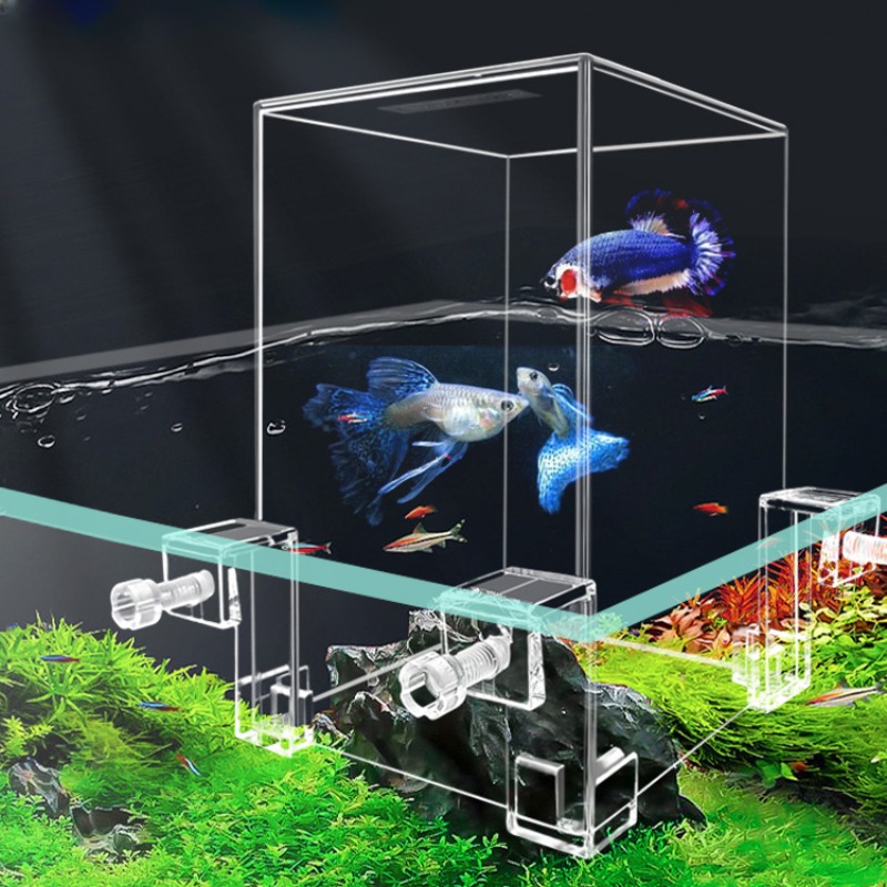 小さな魚のための負の圧力、創造的な装飾、エコロジカル水族館、 - Plant Aquarium Pot のレビューと価格