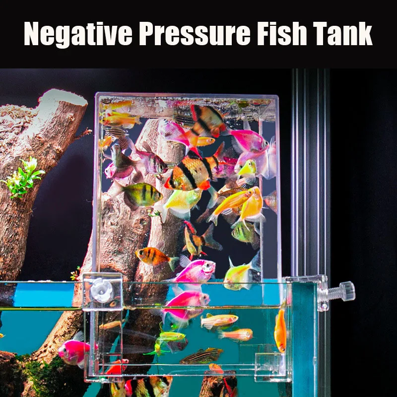 小さな魚のための負の圧力、創造的な装飾、エコロジカル水族館、 - Plant Aquarium Pot のレビューと価格