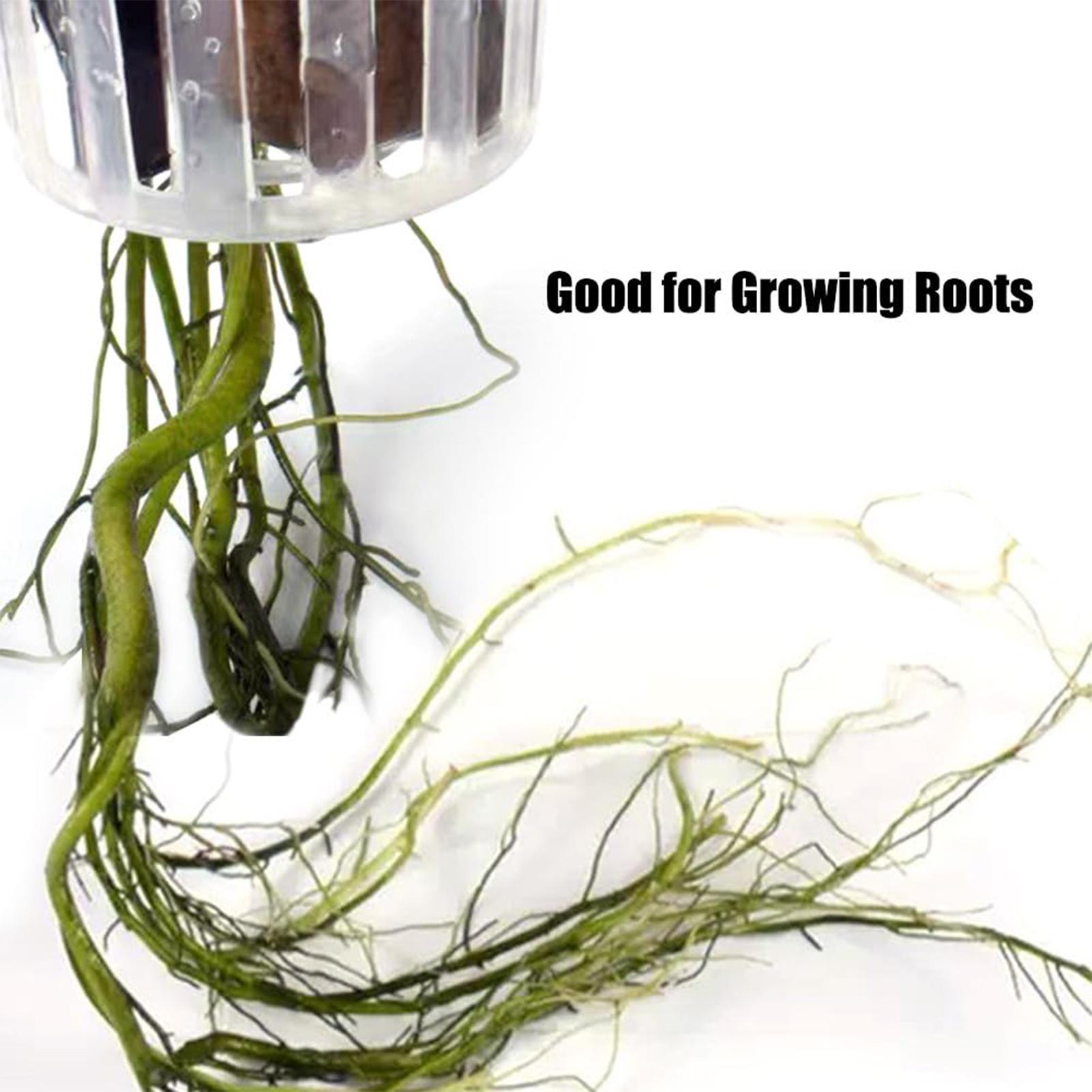 穴あきで吊り下げ可能な水草ホルダー2個入り。水槽の装飾用、水 - Aquarium Plant Holder のレビューと価格