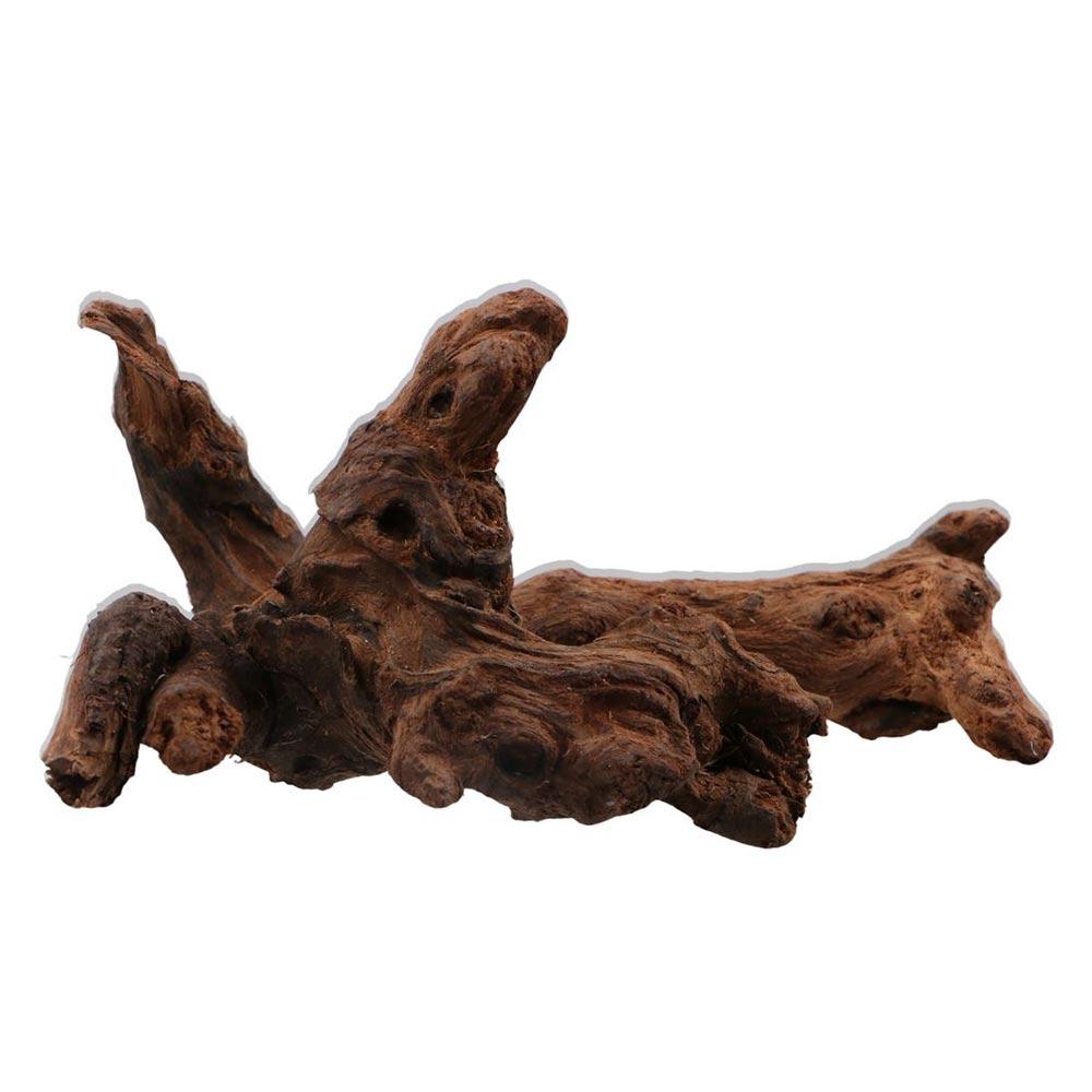 創造的な不規則な形の珊瑚ウッド、天然ウッド、流木、松の木の根 - Aquarium Driftwood のレビューと価格