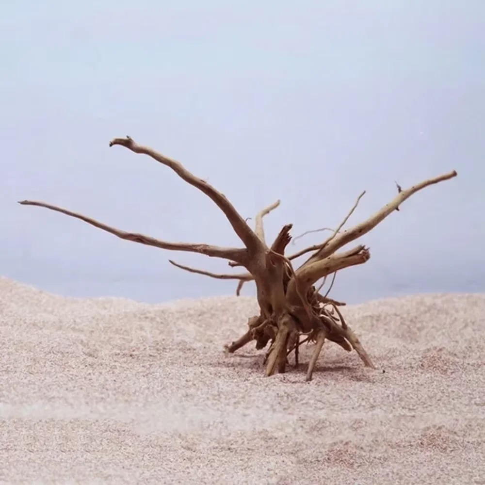 15～20cm天然流木水槽飾り - プレミアム木製水槽オーナ - Aquarium Driftwood のレビューと価格