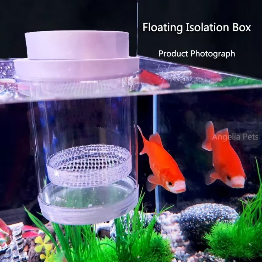 プラスチックフローティング魚飼育隔離ボックス水族館ブリーダー - Aquarium Fertilizer のレビューと価格