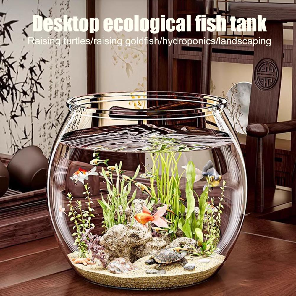 透明なプラスチック製の丸い金魚鉢、水槽、リビングルームの卓上 - Plant Aquarium Pot のレビューと価格