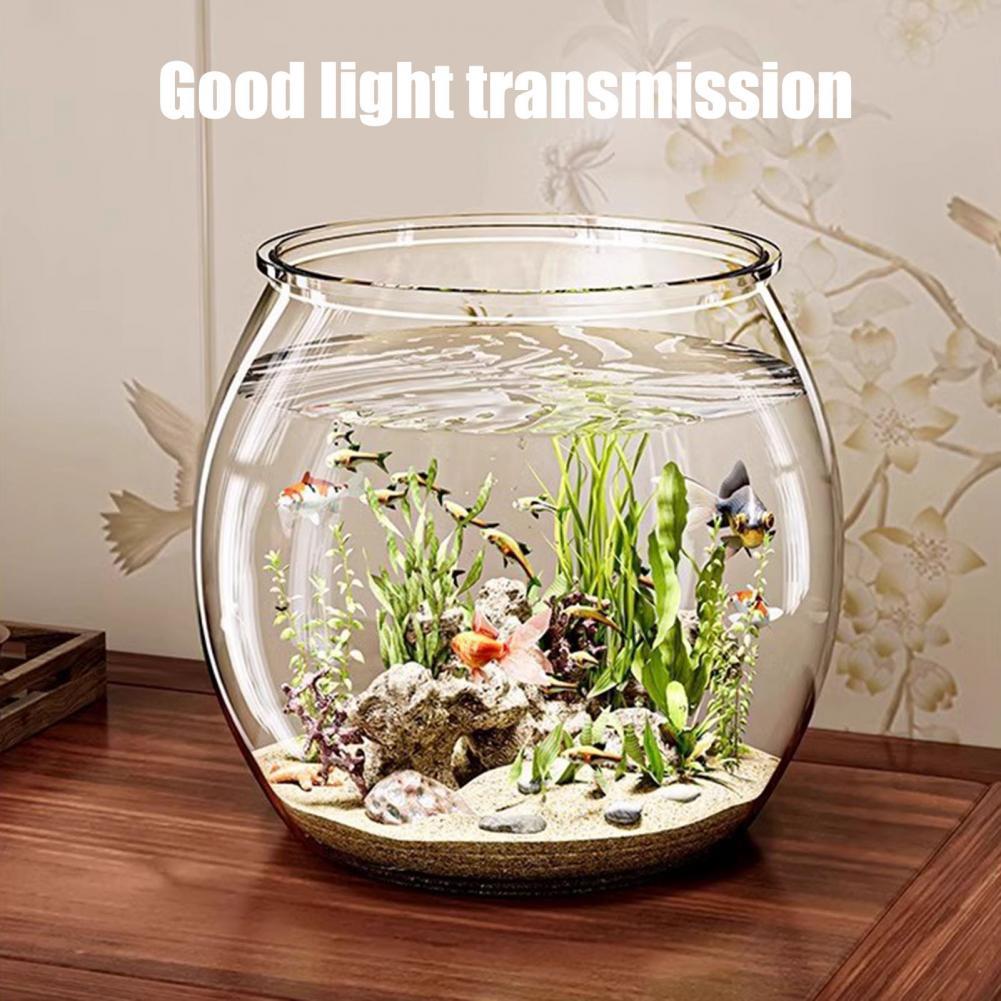 透明なプラスチック製の丸い金魚鉢、水槽、リビングルームの卓上 - Plant Aquarium Pot のレビューと価格