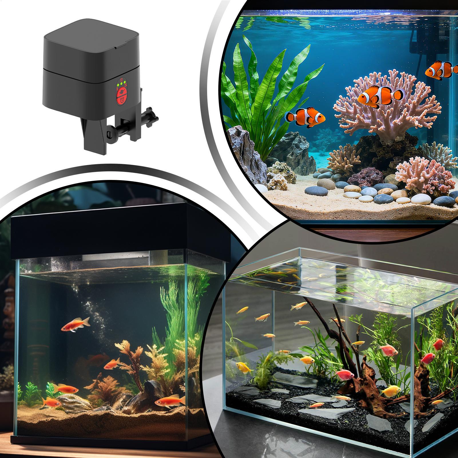 水槽用自動魚フィーダー 自動式Type-C充電式ディスペンサ - Aquarium Fertilizer のレビューと価格