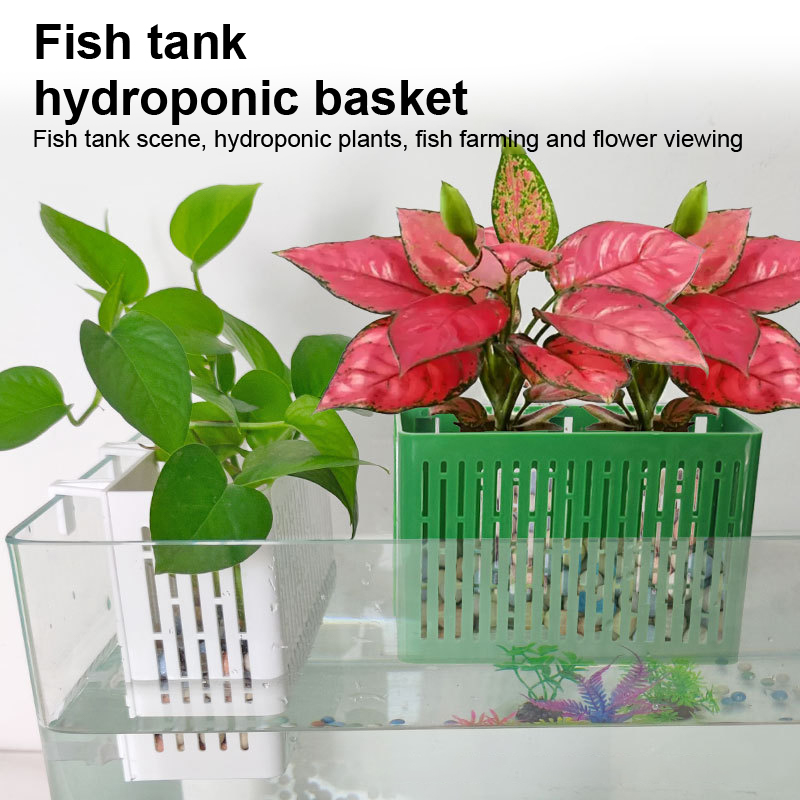 【F】水槽用吊り下げプランター、水生植物ホルダー、耐熱性、水 - Aquarium Plant Holder のレビューと価格