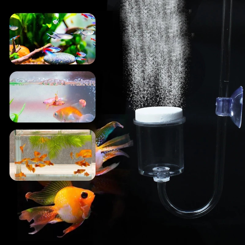 水族館用CO2ディフューザー,日曜大工のガラスタンク,バブル - Live Plant Aquarium のレビューと価格
